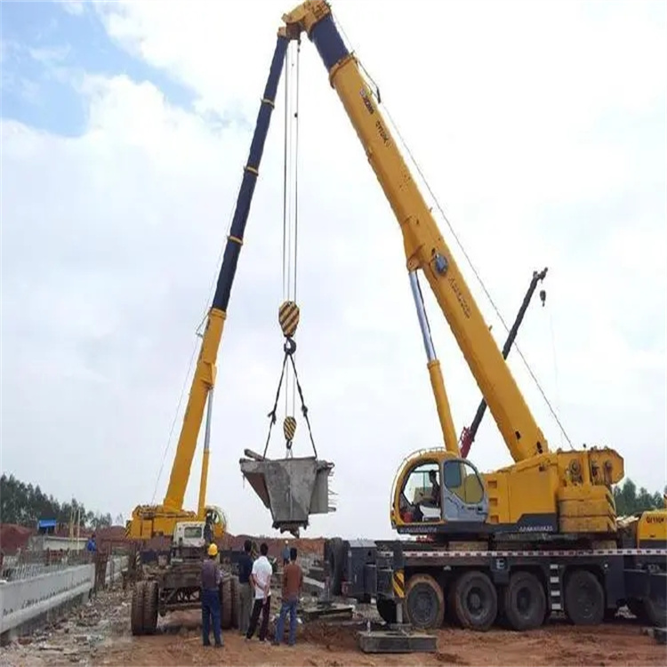 汕尾小型吊机出租电话|厂房设备吊装方案|24小时服务覆盖